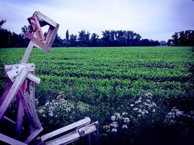 Working Process sculpture by Jakub Flejšar — view 9